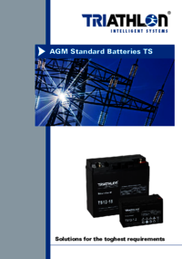 AGM Standard (TS) Batterien